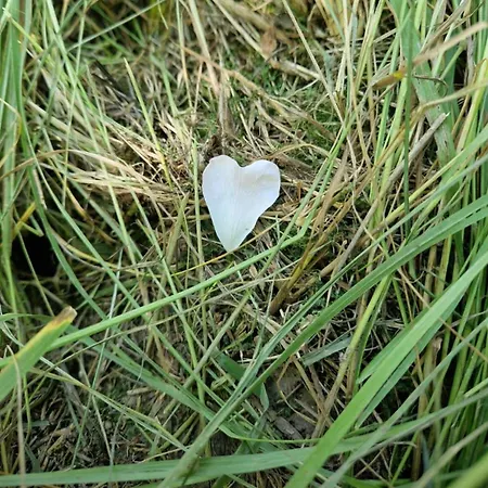 Lägenhet In Winterlingen