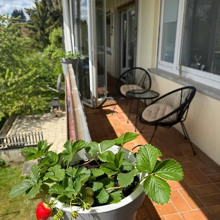 Appartement In Winterlingen